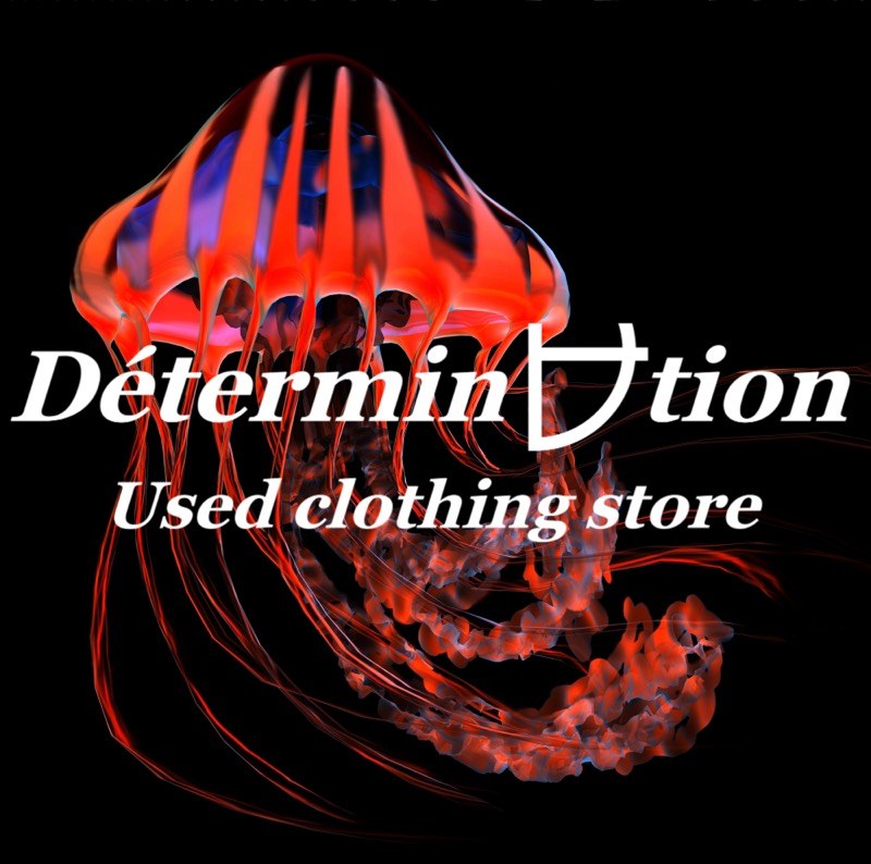 DETERMINATION